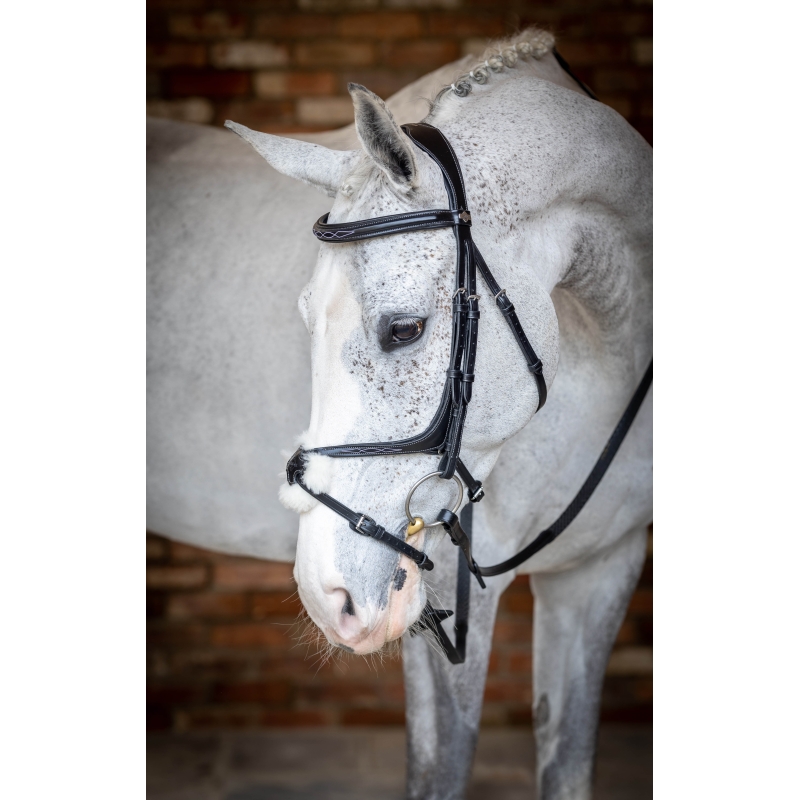 Lemieux Grackle Bridle